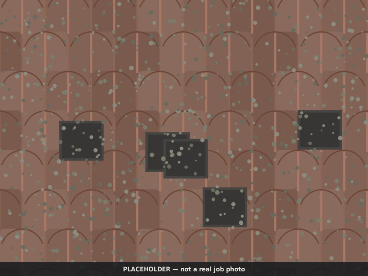 Drawn placeholder, before: faded concrete tile with broken pieces and moss between courses